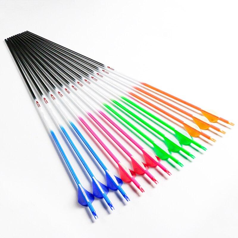 Pinals arc composé flèches de chasse colonne vertébrale 300 Pinals arc composé flèches de chasse colonne vertébrale 300