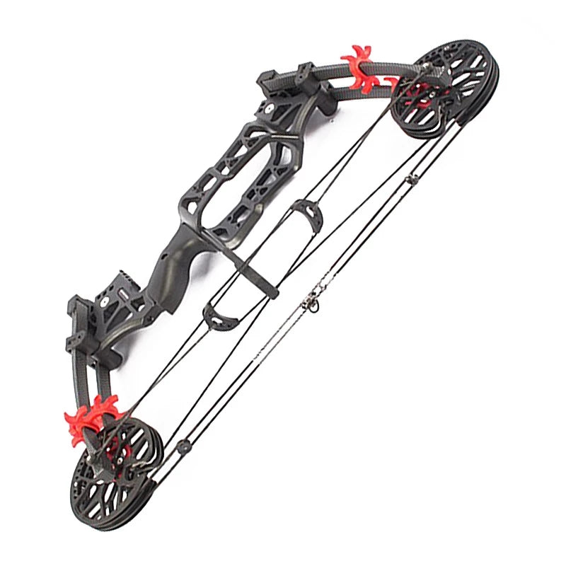 Hunting Compound bow Steel Ball Bow & Archery Dual Purpose Left & Rig ...